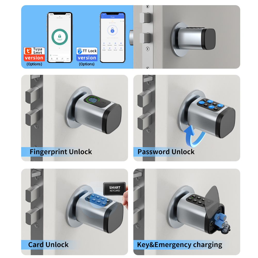 RAYKUBE V1 Tuya BLE TT Lock Sm – обзор и цена Home Automation System Diy