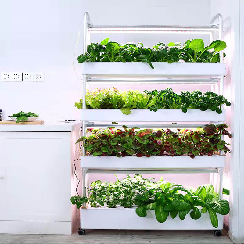 ydroponic Planting System Smar – обзор и цена Home Automation Diy