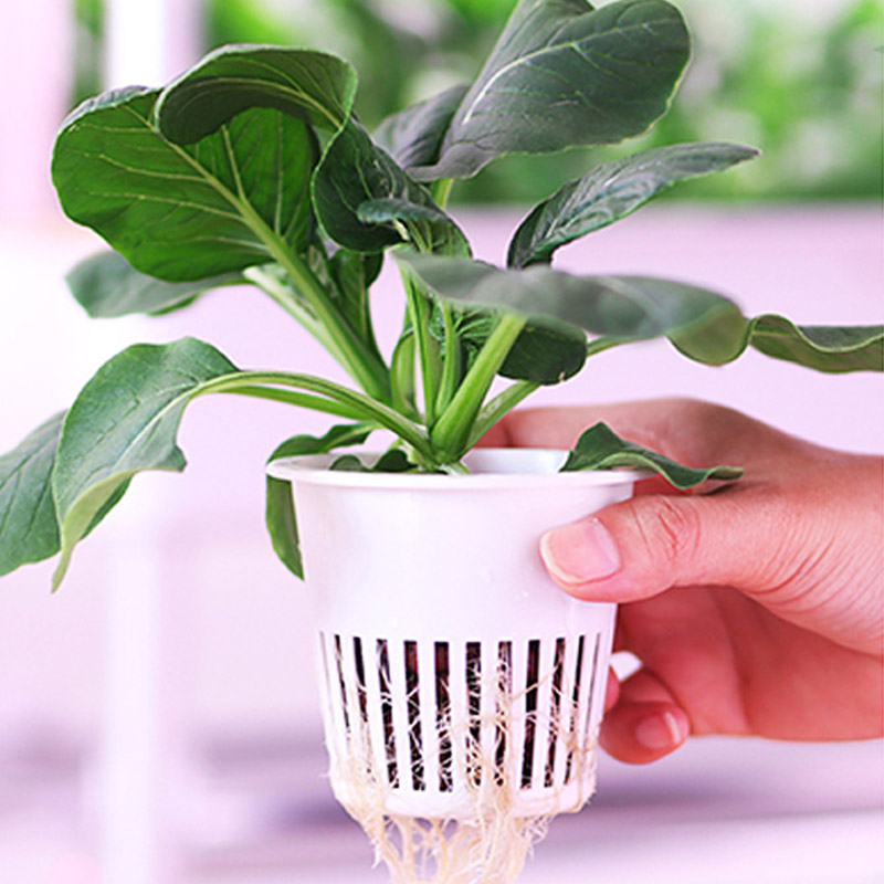 ydroponic Planting System Smar – обзор и цена Home Automation Diy