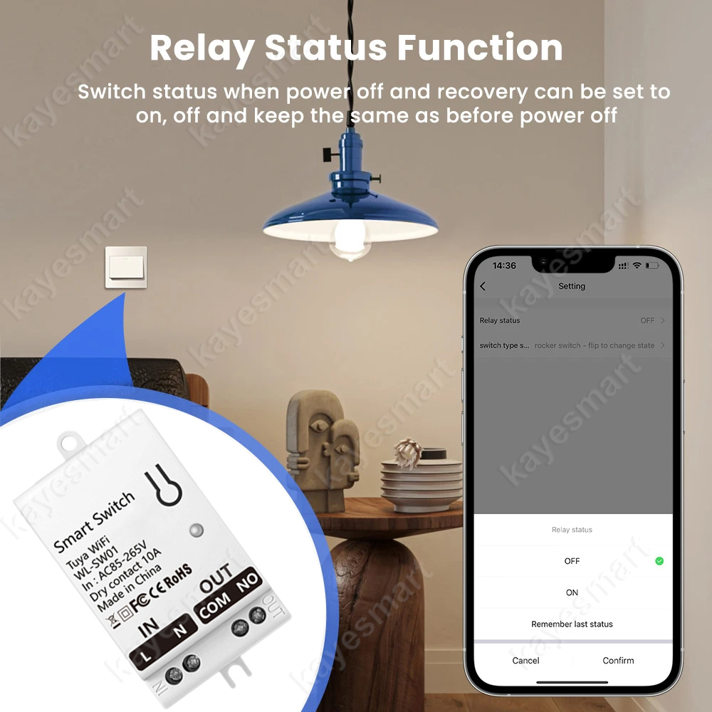 Tuya WiFi Smart Switch Module  – обзор и цена Home Automation Diy