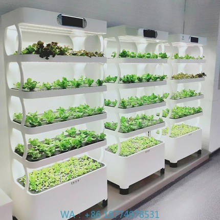 Hydroponic Automated Grow Syst – обзор и цена Home Automation Diy